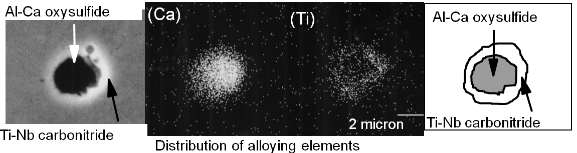 Fine multi-component of inclusion in SM125ES